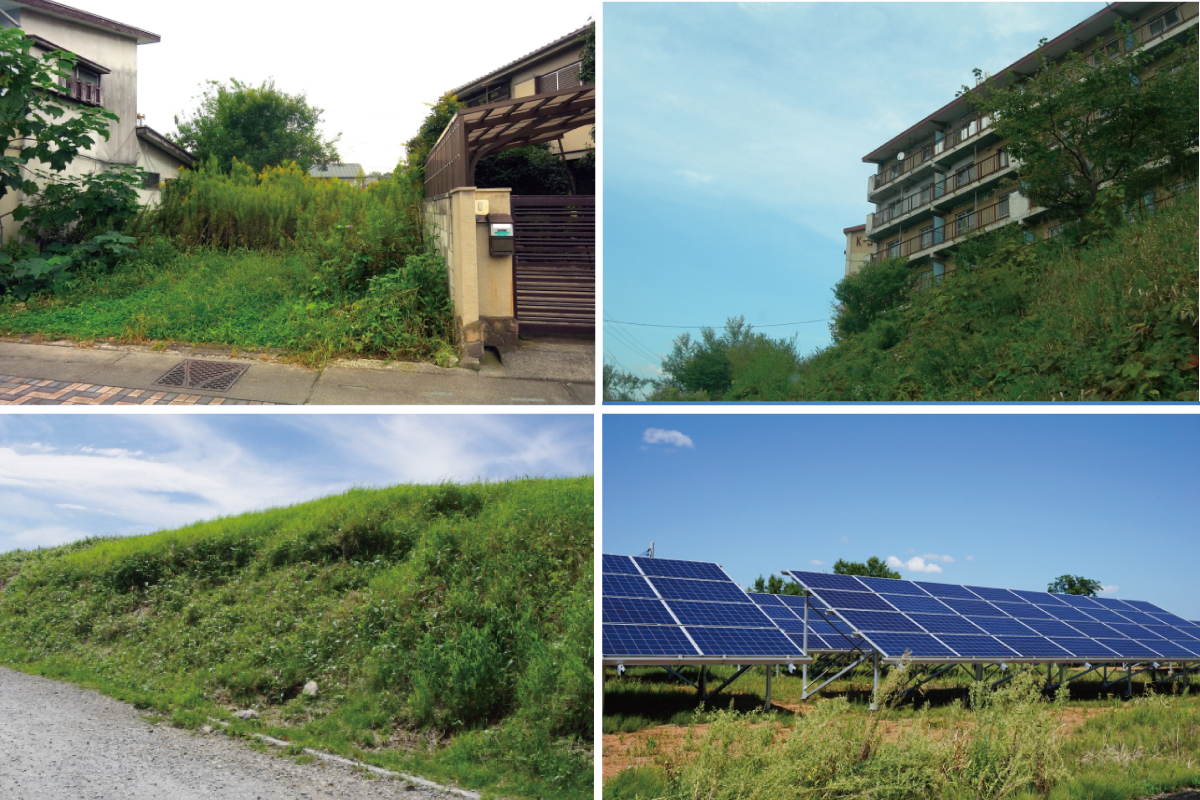 空き地・団地・土手・ソーラー発電